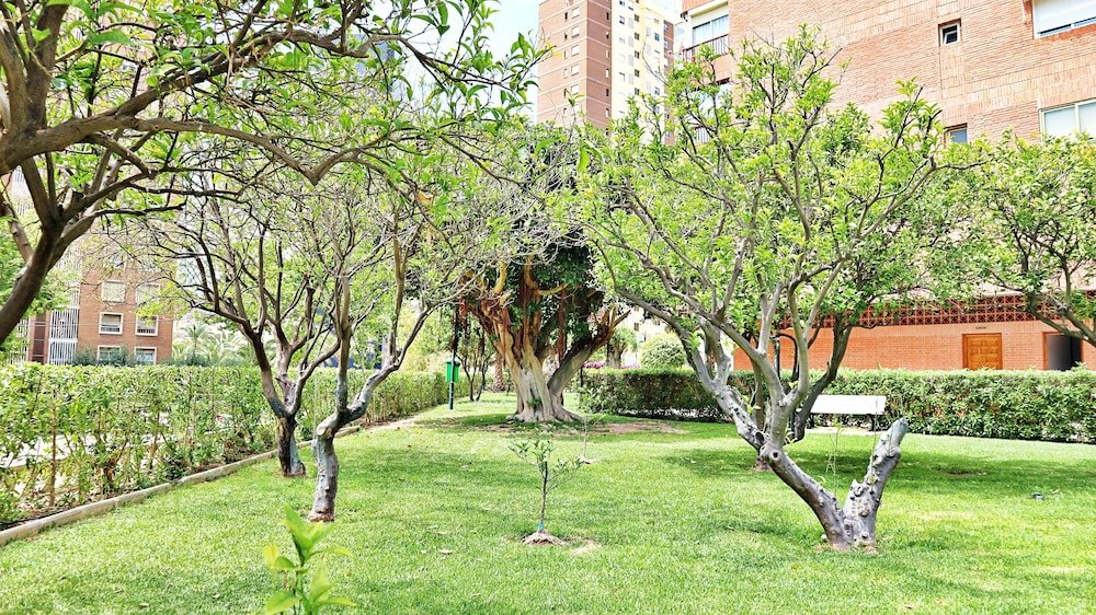 Фото Gemelos 4 - Beninter