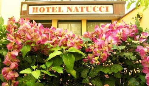 Гостиница Albergo Natucci в Монтекатини-Терме