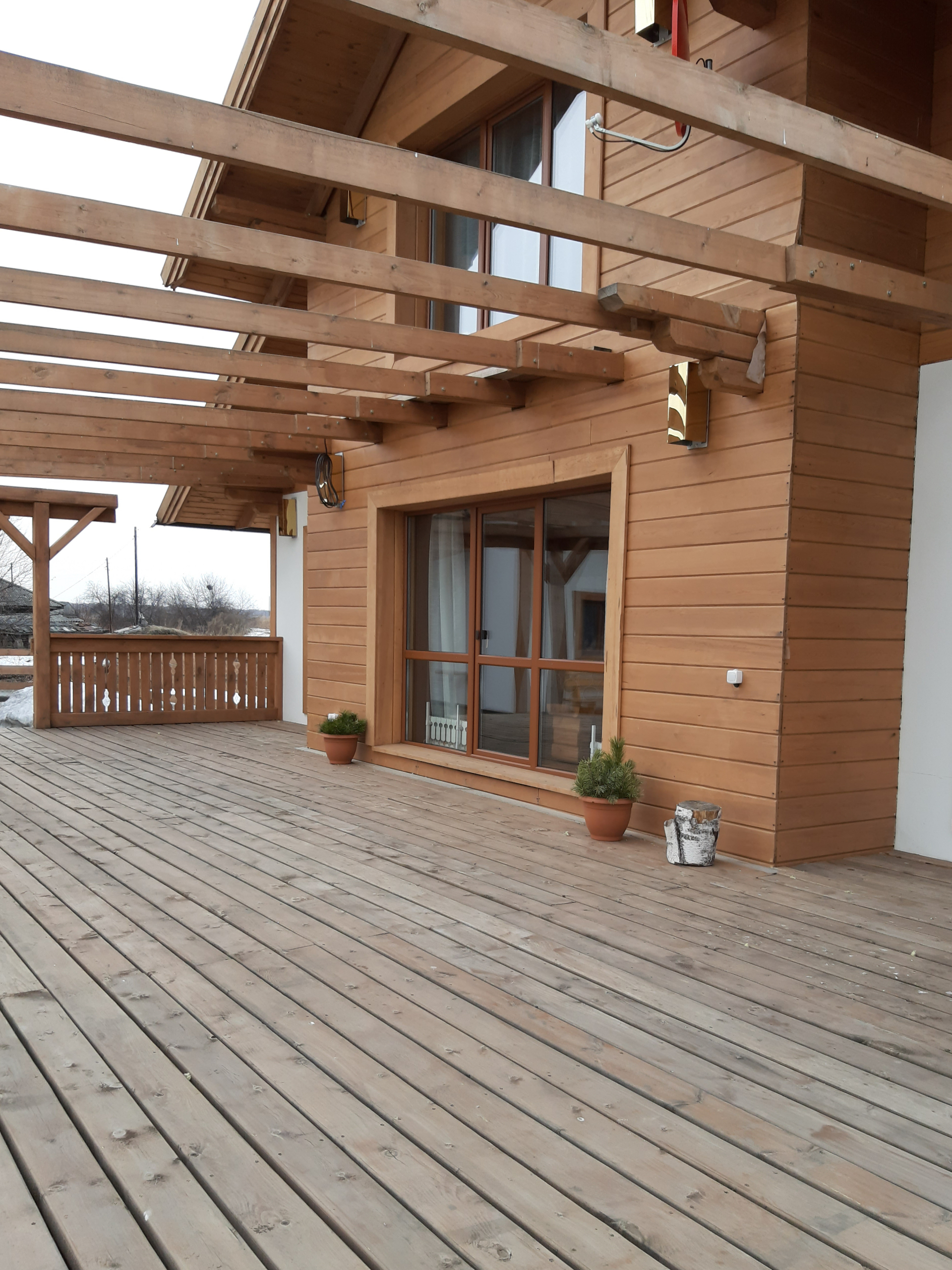 Фото Земляничная поляна