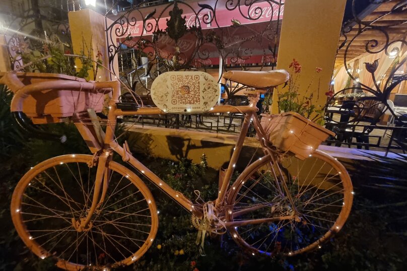 Фото Камела