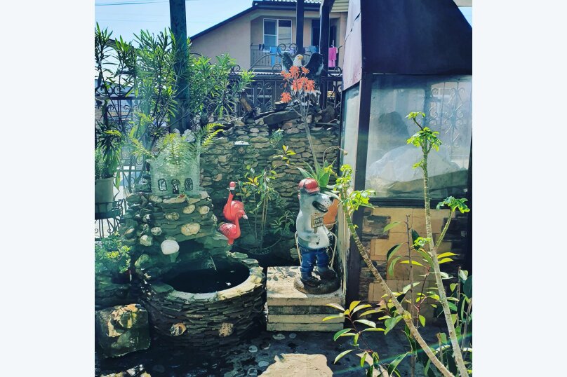 Фото Любовь и голуби