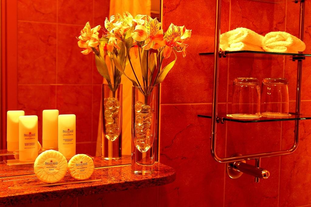 Фото The Belvedere