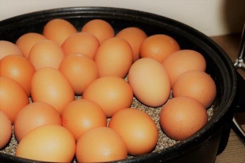 Фото Novum Hotel Ruf Pforzheim