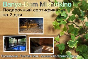 Баня Дом Мишуткино