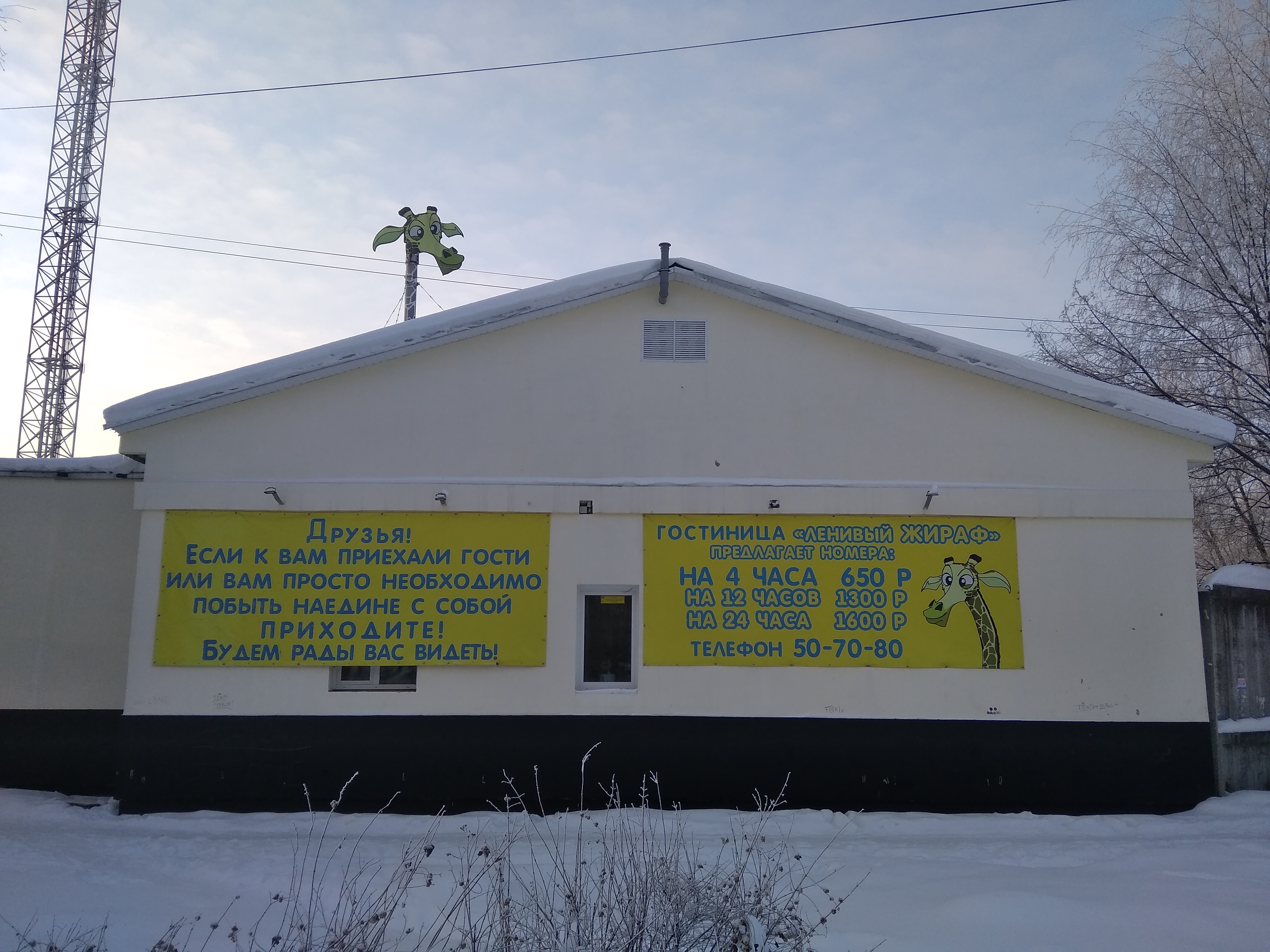 Фото Ленивый жираф