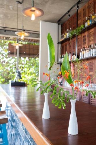 Фото Pippali Boutique Hotel