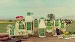 Severnaya Torgovaya Kompaniya (Yugorsk, Popova Street, 1), productos lácteos al por mayor