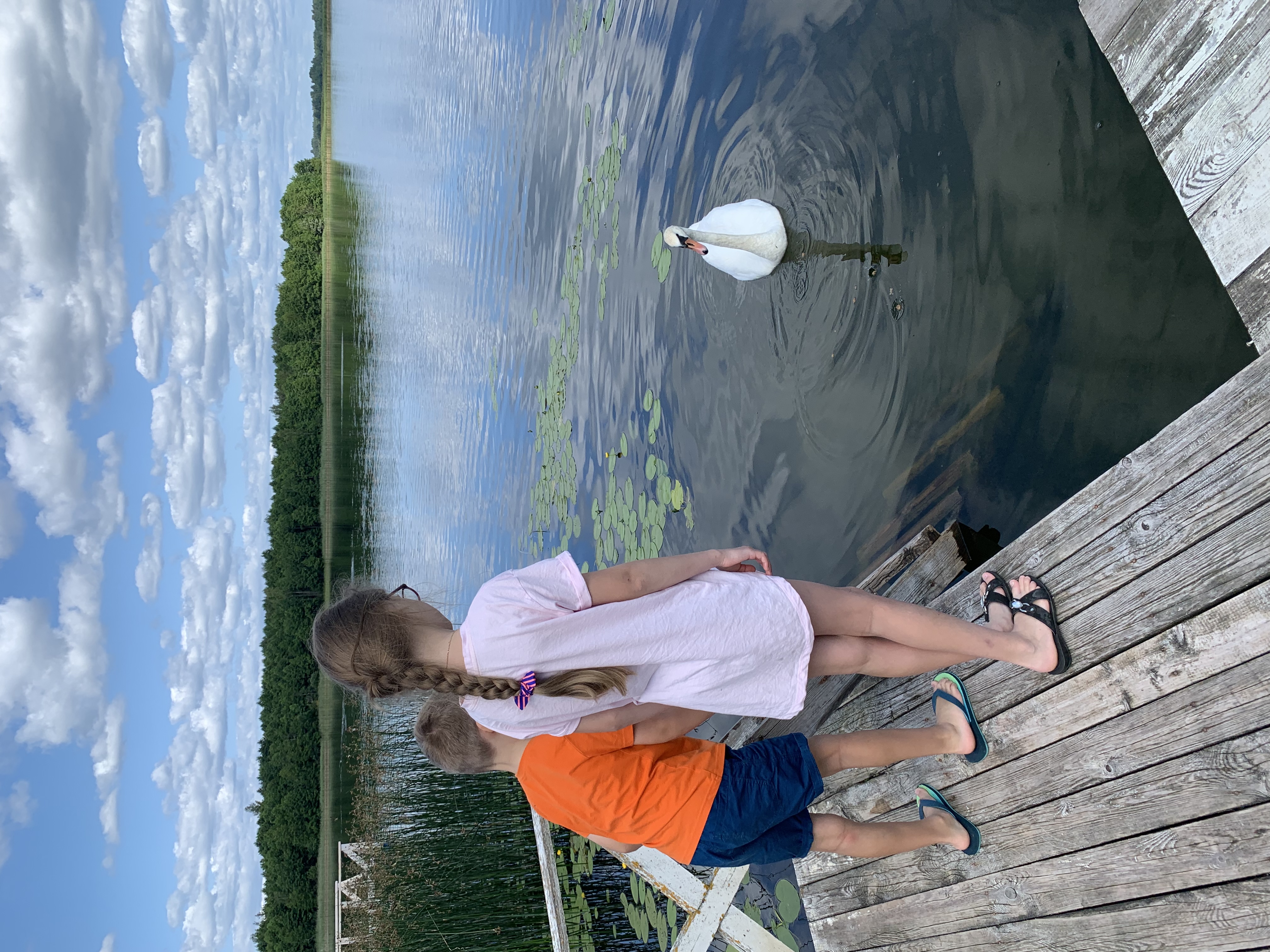 Фото Усадьба Забелье 4