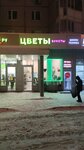 Flowers & Bouquets (Novinki Street, 1), flower shop
