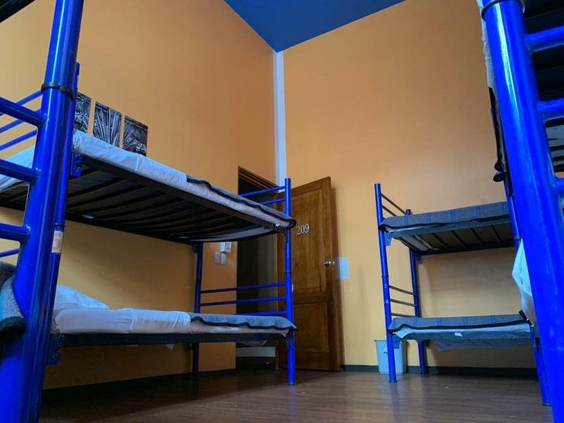 Фото Hostal Amigo