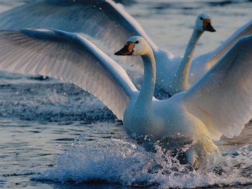 Фото Ab Hotel Fukaya