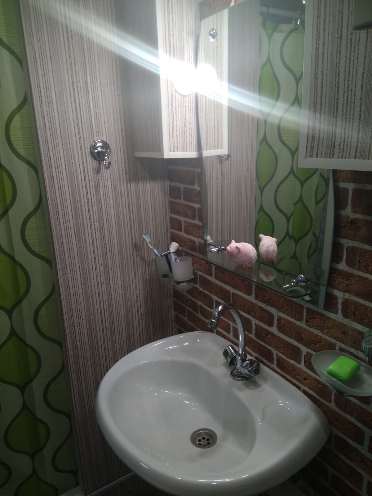 Фото Сенполия