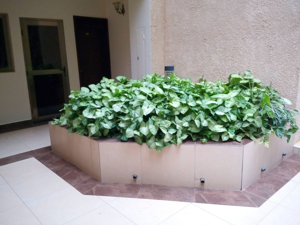 Фото Rohi Apartment Hotel