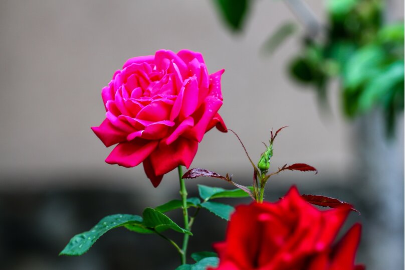 Фото Домашний уют