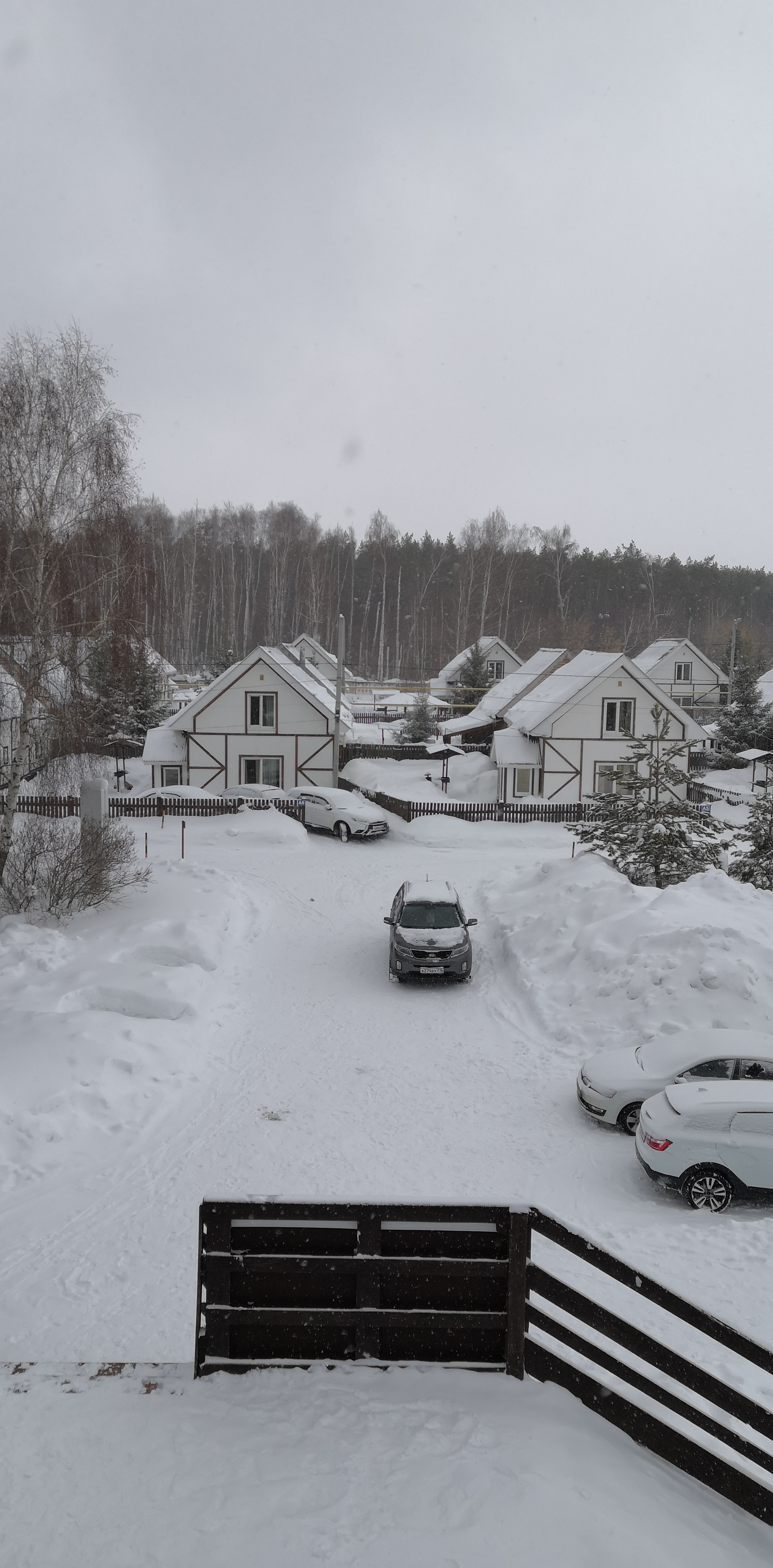 Фото Белая дача