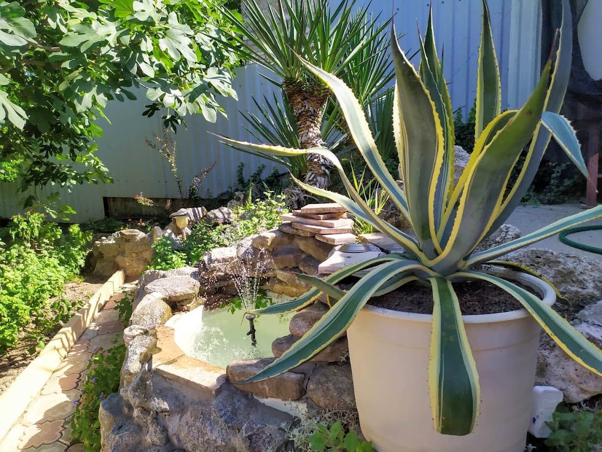 Фото Вилла Гармония