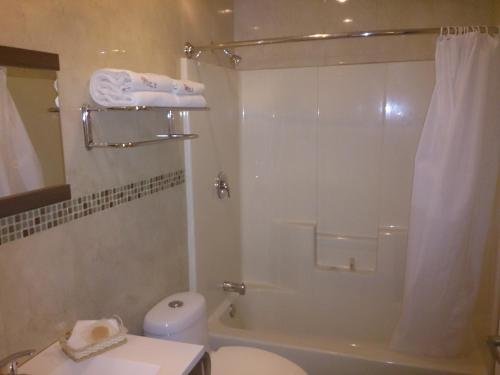 Фото Hotel Oliver Inn - Business Class