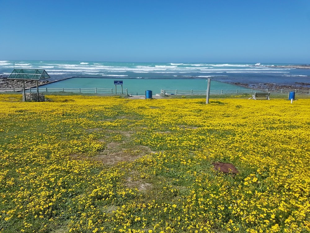 Фото South Point