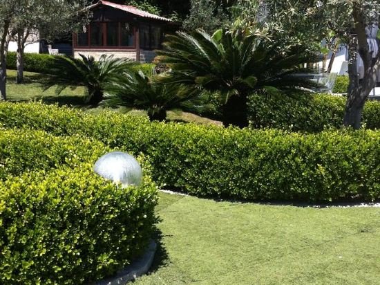 Фото отеля 5