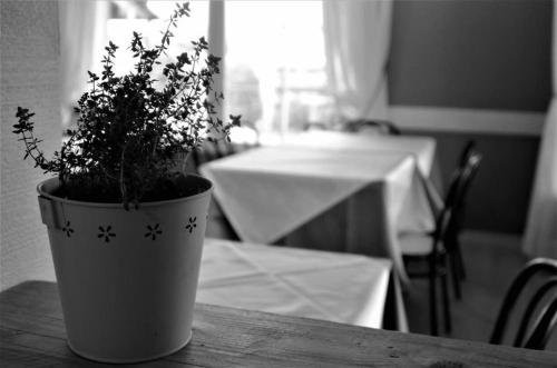 Фото Hotel Serena