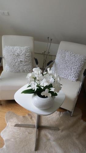 Фото Prince on the Roof