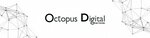 Octopus Digital Network (Karachi Cantonment, 403), software companies