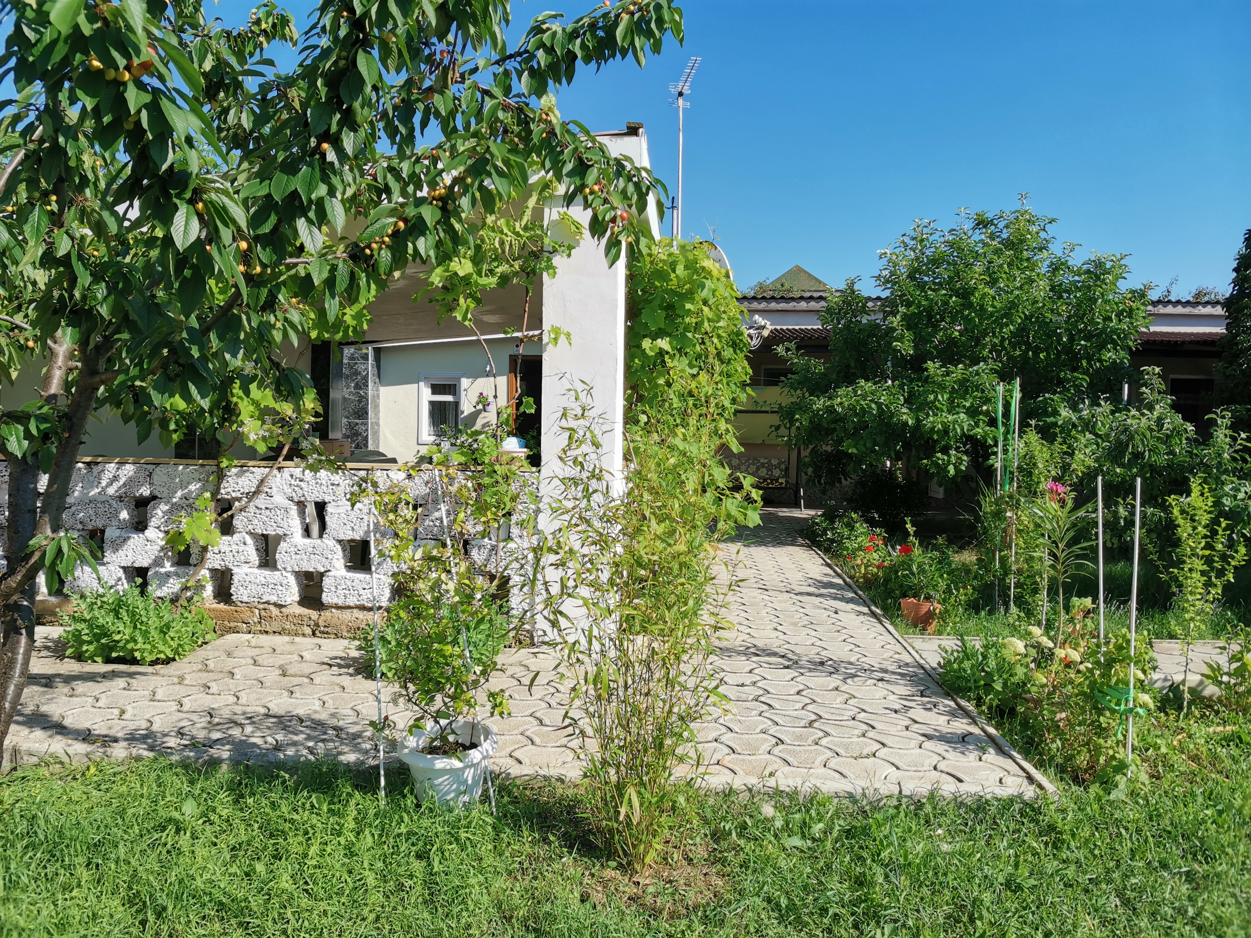 Фото Лонисера