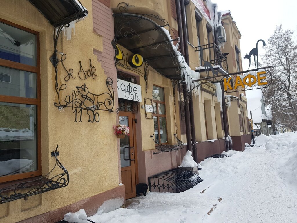 Кафе Cats, Саратов, фото