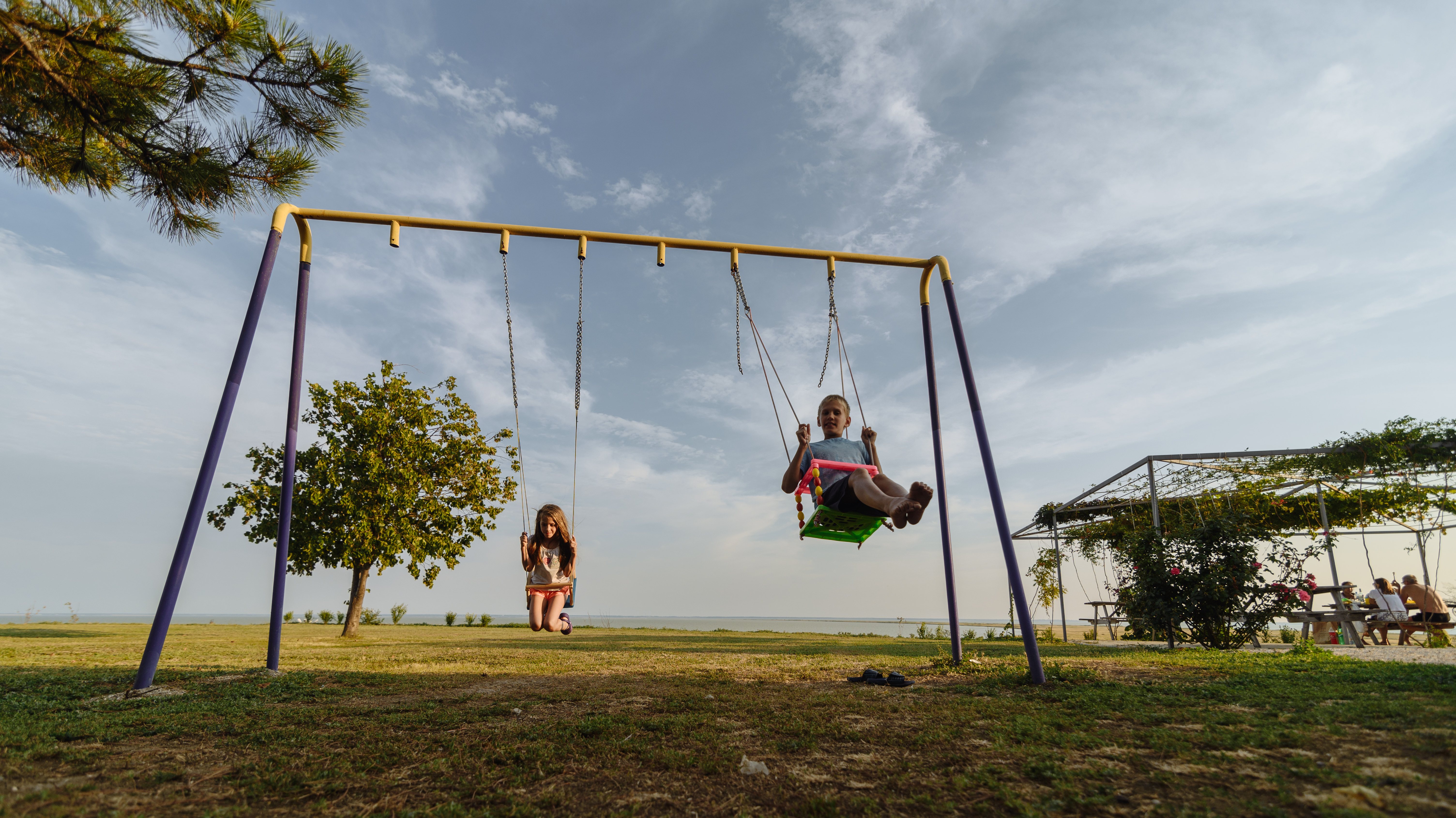 Фото Альбатрос