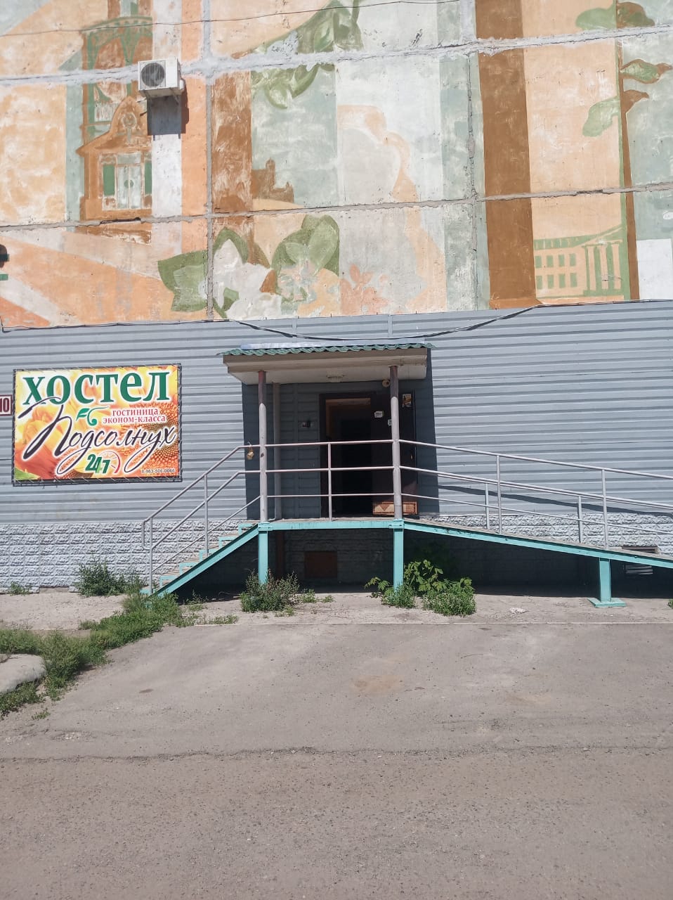 Фото Подсолнух