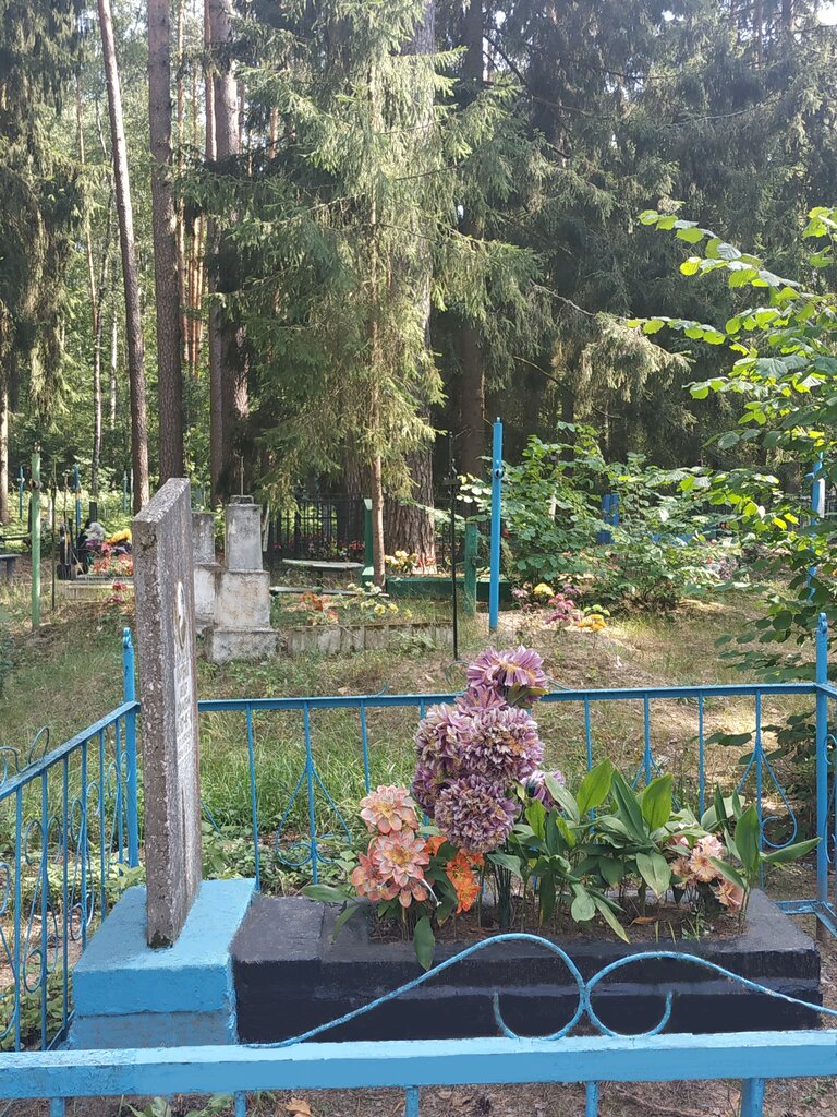 نصب تذكاري للحرب، مقبرة جماعية Могила партизана Карпенко Е. Ф. ، مقاطعة بريانسك، صورة