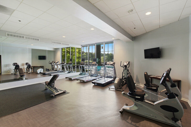 Гостиница Holiday Inn Chicago Nw Crystal Lk Conv Ctr, an Ihg Hotel