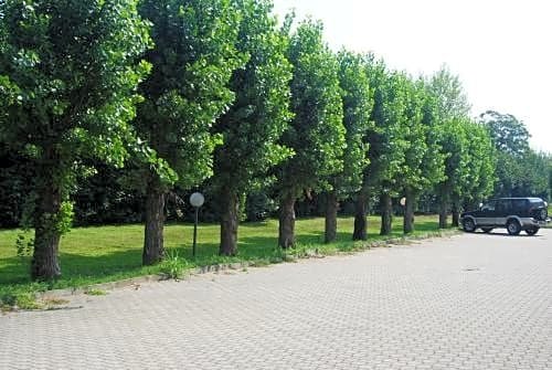 Фото Business Hotel