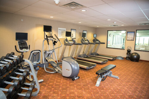 Гостиница Holiday Inn Express Hotel & Suites Detroit-Novi, an Ihg Hotel