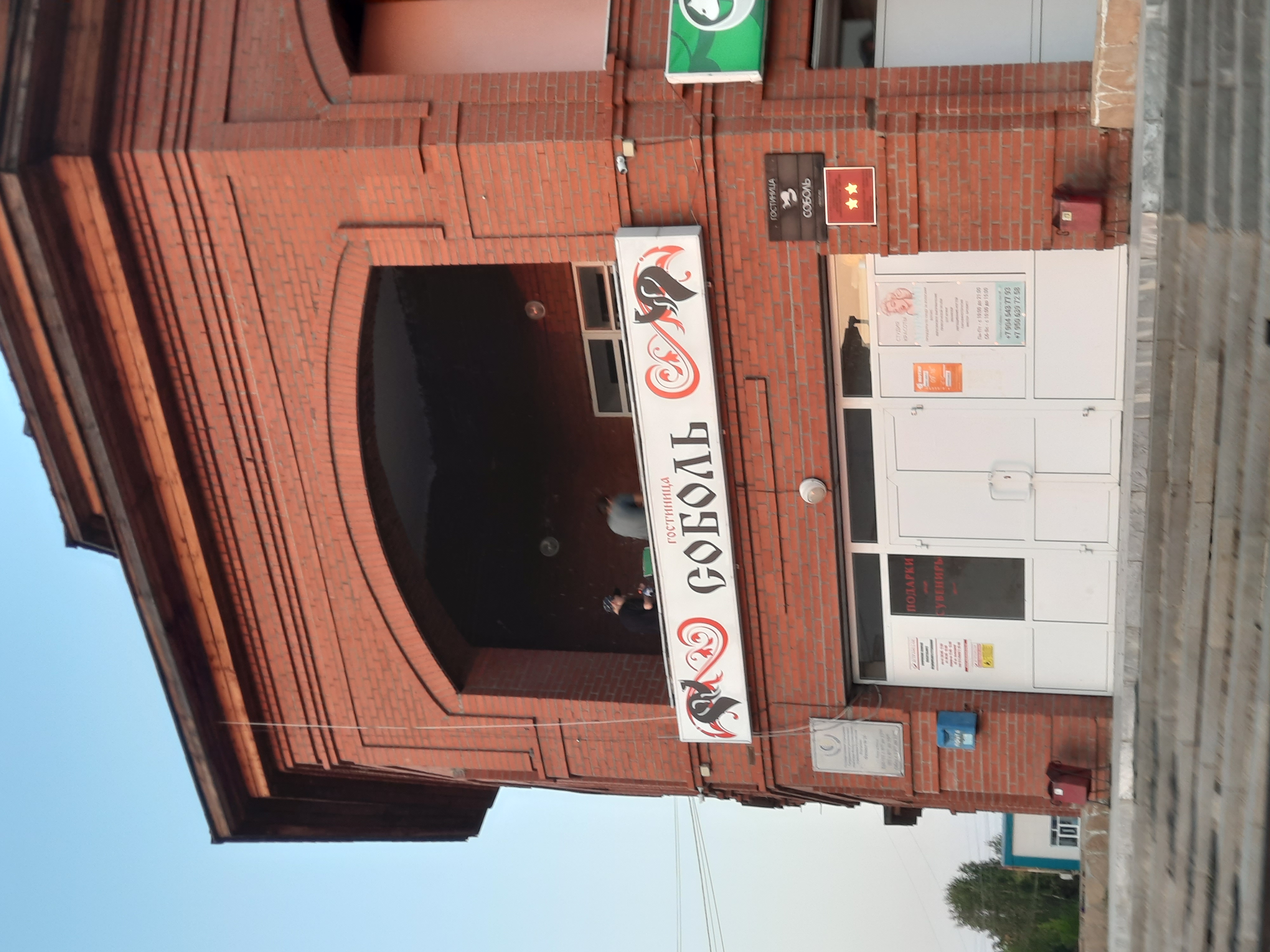 Фото Соболь