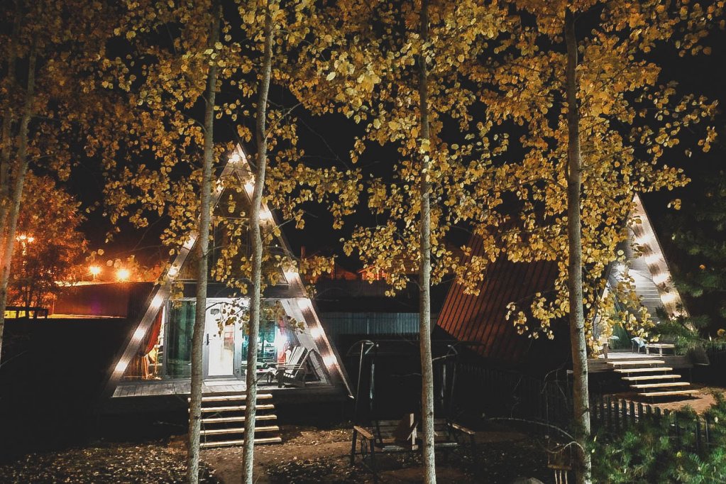 Фото Ёlki в Правдинское озеро