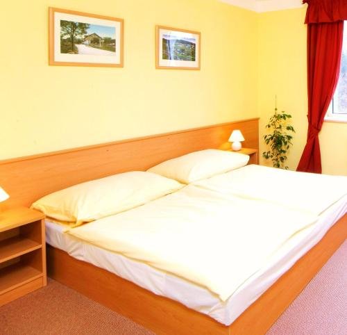 Фото Hotel Harrachov Inn