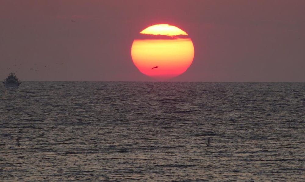 Фото Elidon Apartments