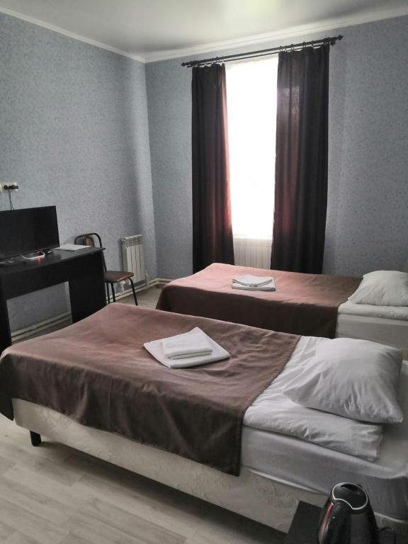 Фото Базилик