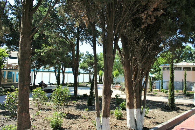 Фото Прохлада