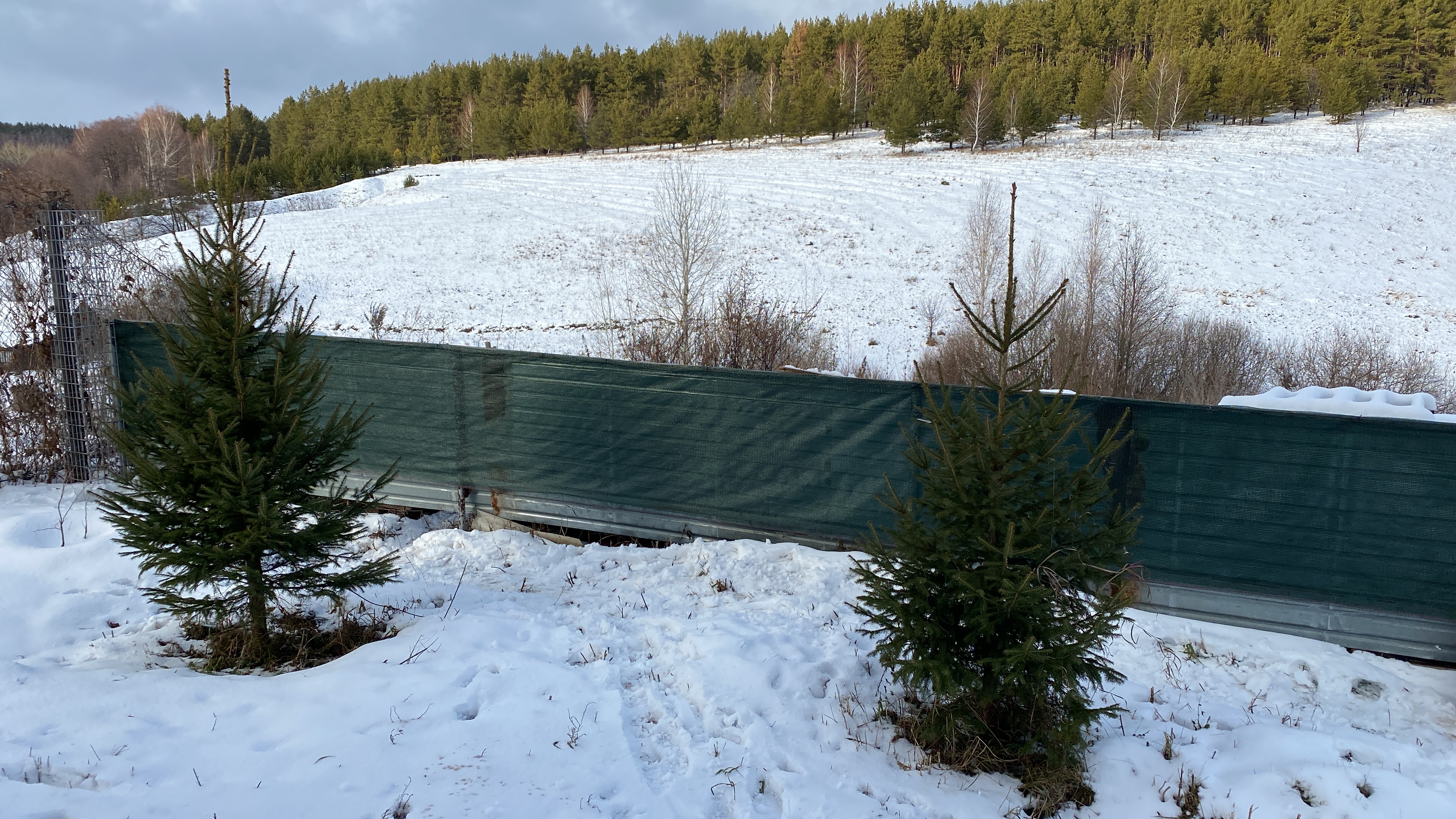 Фото Домик Пчеловода