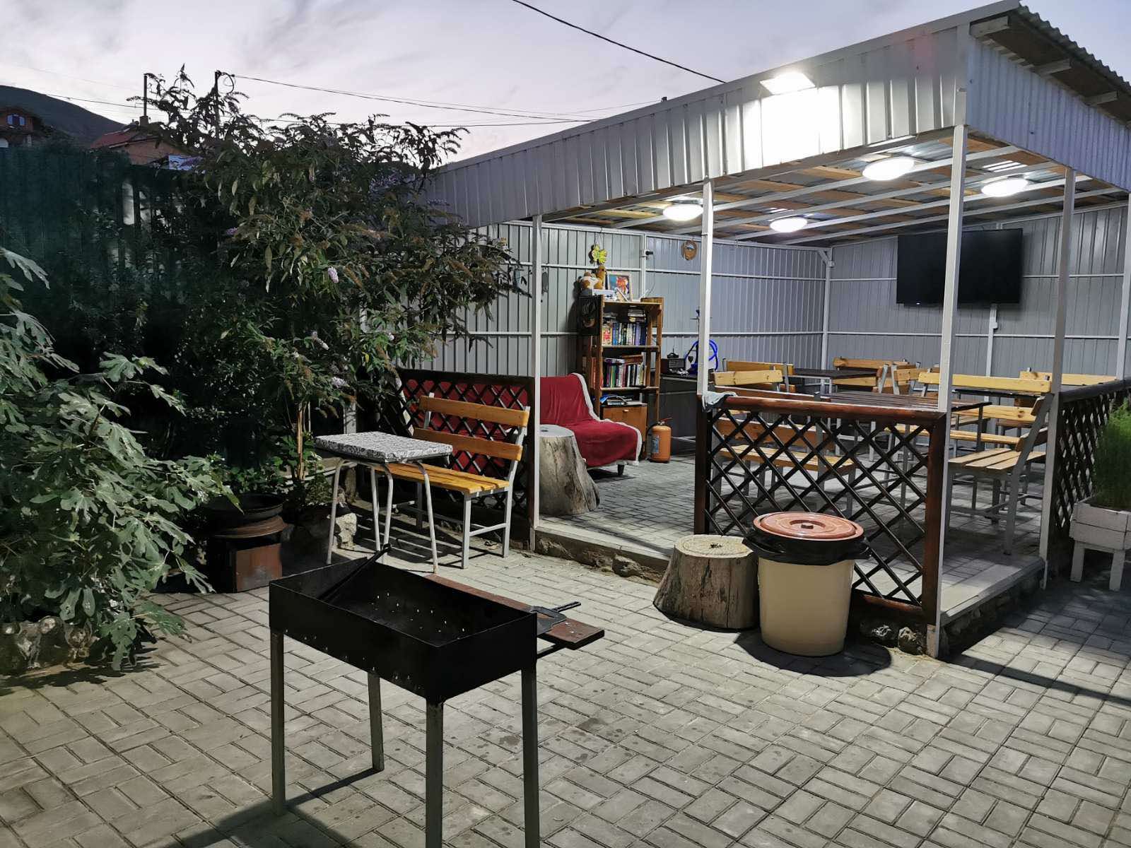 Фото Золотая Рыбка