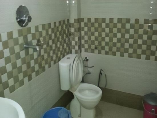 Фото Swiss Cottage and SPA by Salvus