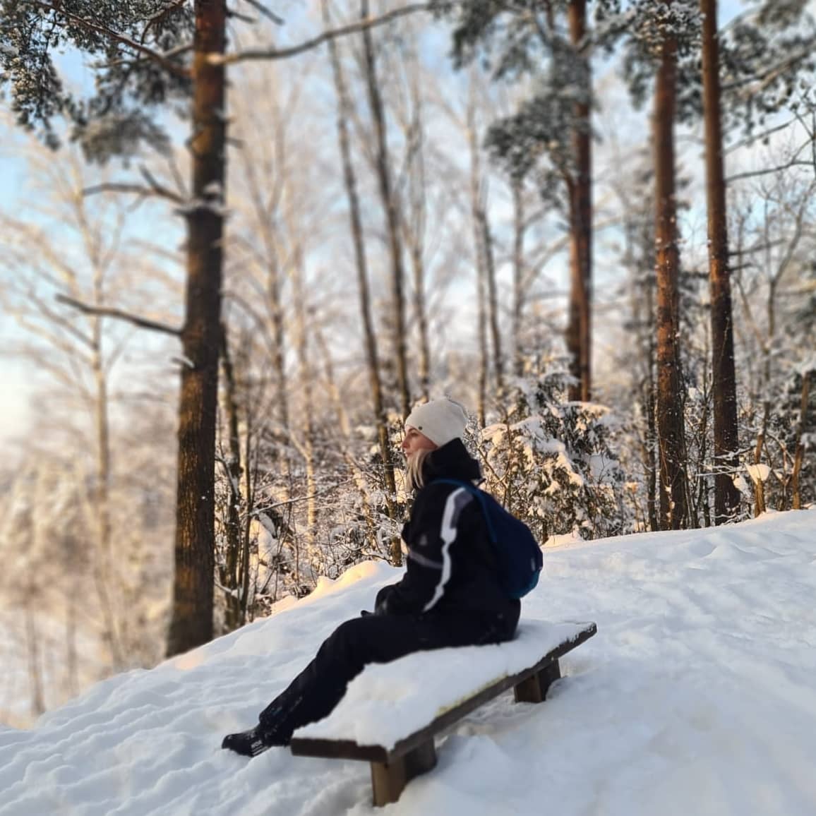 Фото Динамо