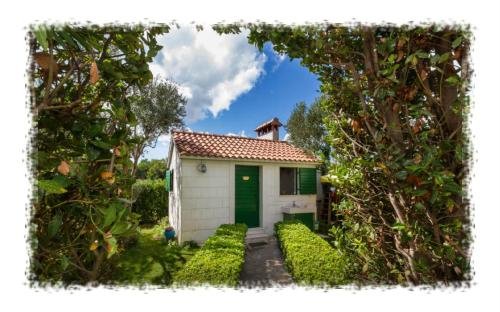 Фото Hostel Oktarin