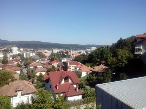 Гостиница Hotel Panoramic в Вылче