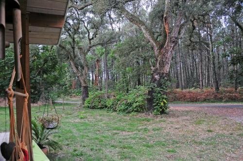 Гостиница Les Hebergements Nature Et Bien-Etre в Даксе