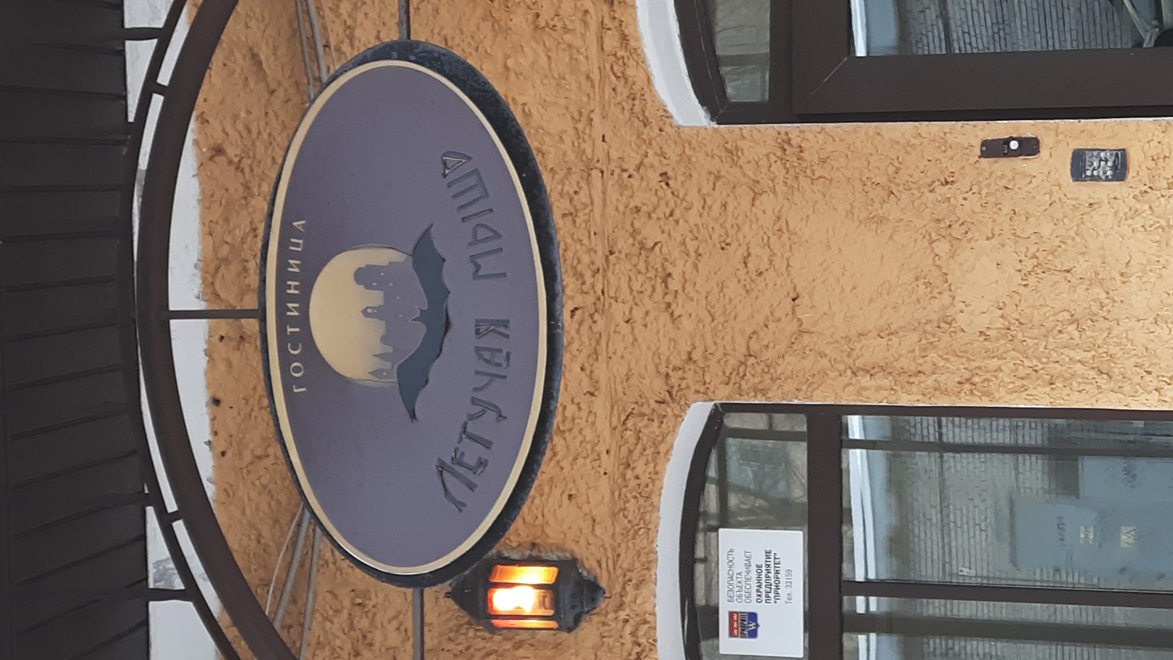 Фото Летучая мышь