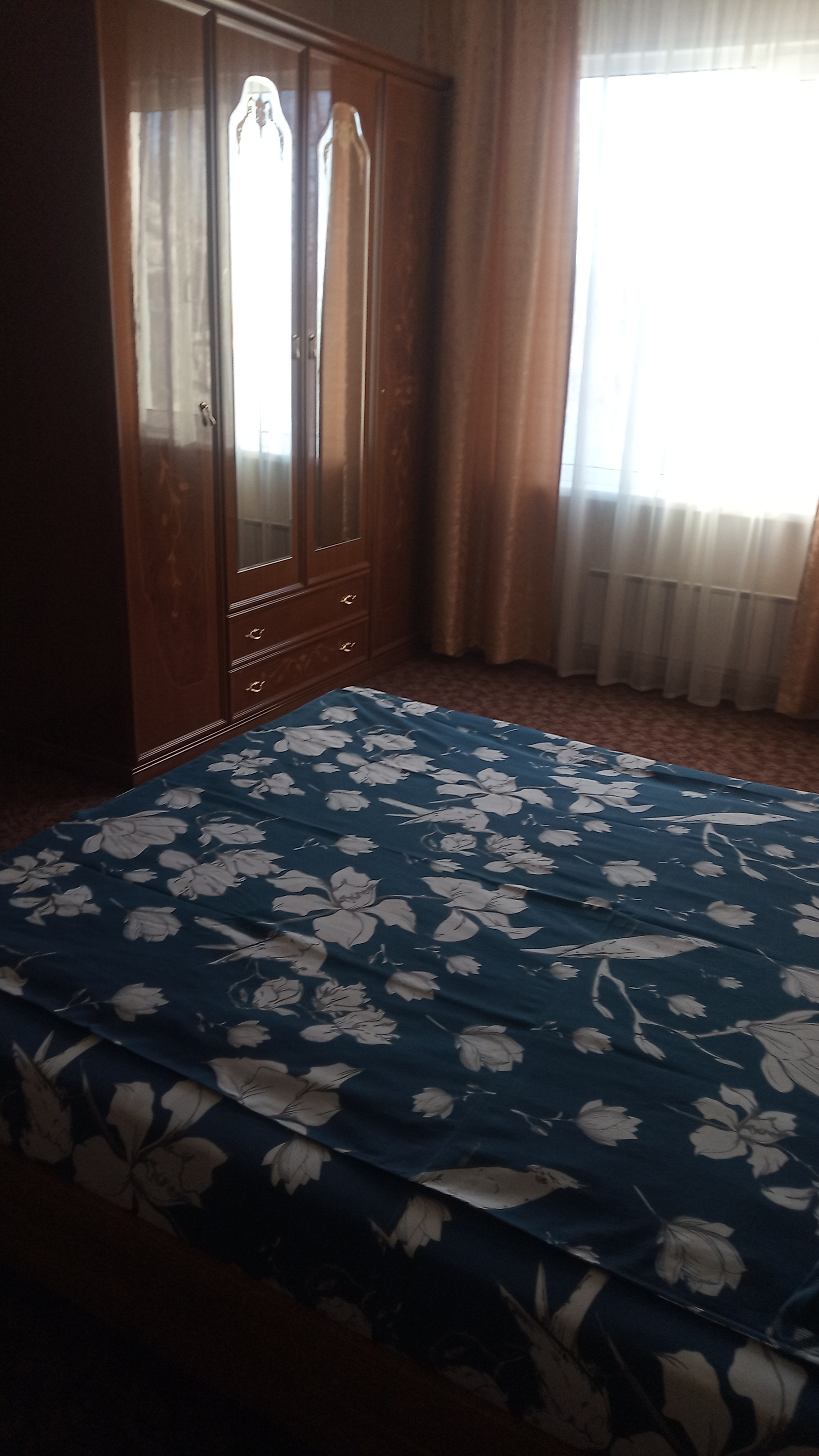 Фото Клевер