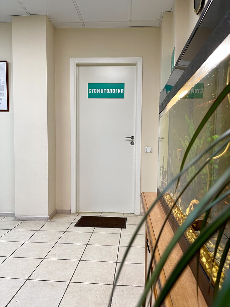 Denta Next, dental clinics, Russia, Moscow, Bolshaya Tulskaya Street, 2 - Yandex